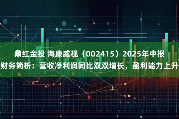 鼎红金投 海康威视（002415）2025年中报财务简析：营收净利润同比双双增长，盈利能力上升