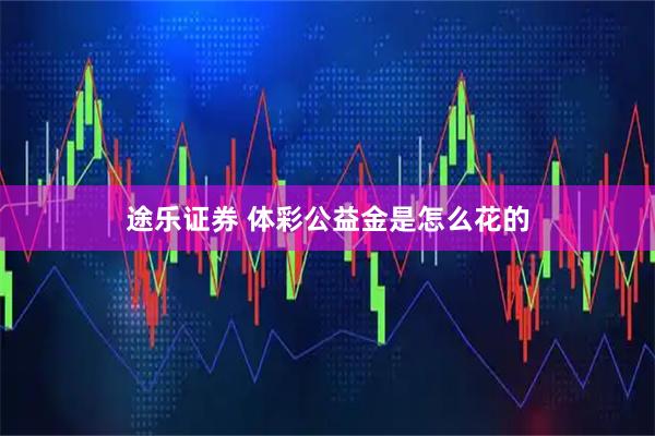 途乐证券 体彩公益金是怎么花的
