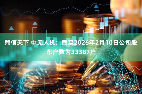 鼎信天下 中无人机：截至2026年2月10日公司股东户数为33387户