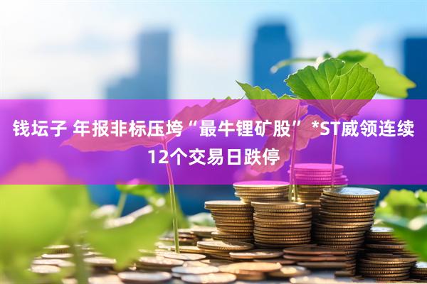 钱坛子 年报非标压垮“最牛锂矿股” *ST威领连续12个交易日跌停